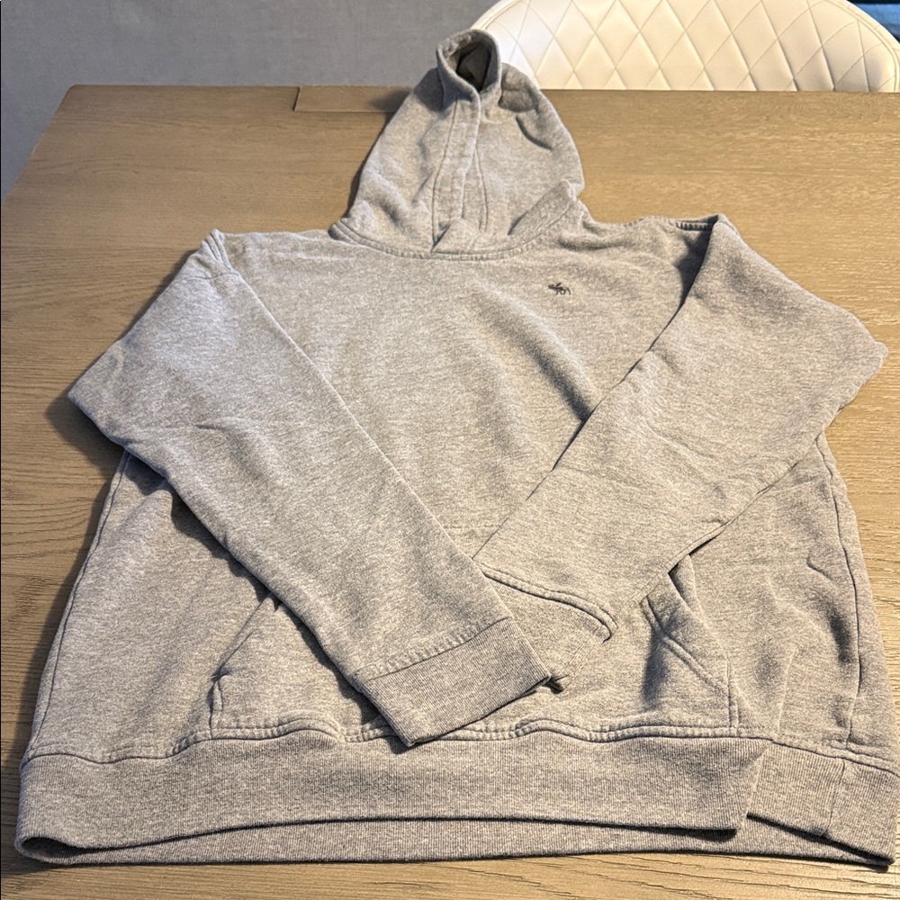 Abercrombie Kids Gray Relaxed Fit Hoodie